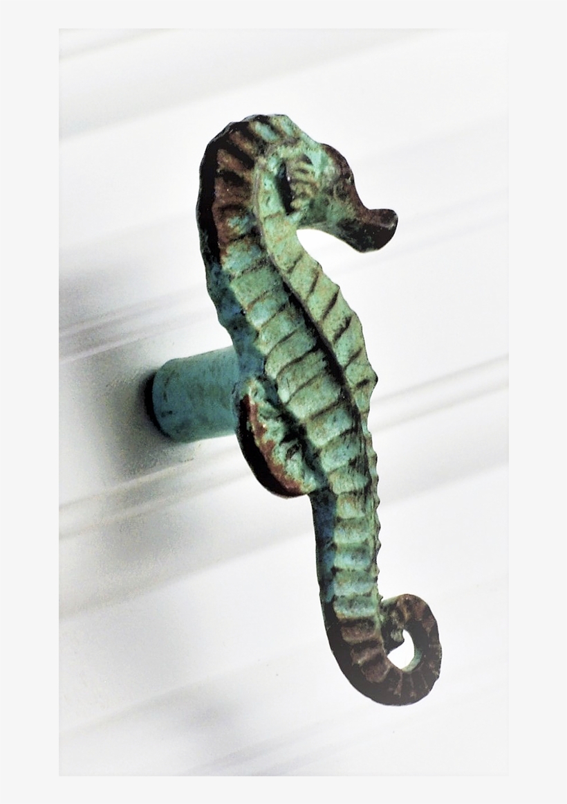 Seahorse - Metal, transparent png #4424432