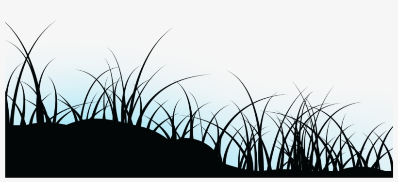 Tapping Wood By Asmr Tapping Sounds - Grass, transparent png #4424856