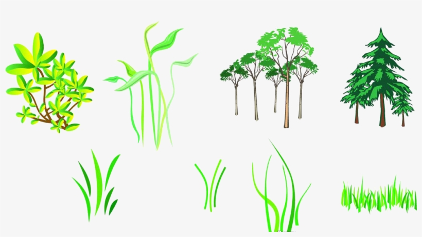 Branch Tree Silhouette - Modern Green Tree 29 Shower Curtain, transparent png #4424887