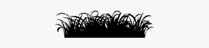 Lawn Weed Contro - Lawn, transparent png #4425594