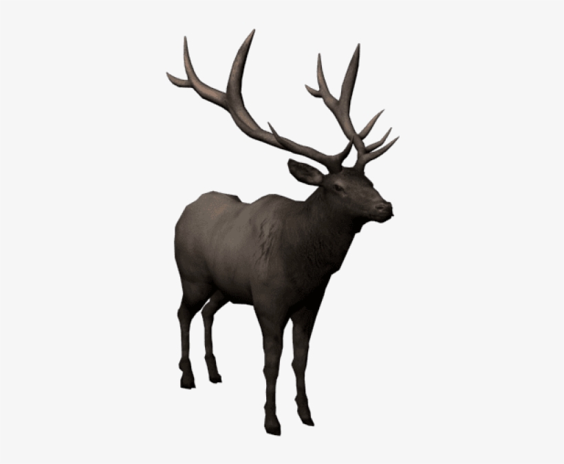 Free Png Moose Png Images Transparent - Barren Ground Caribou, transparent png #4426312