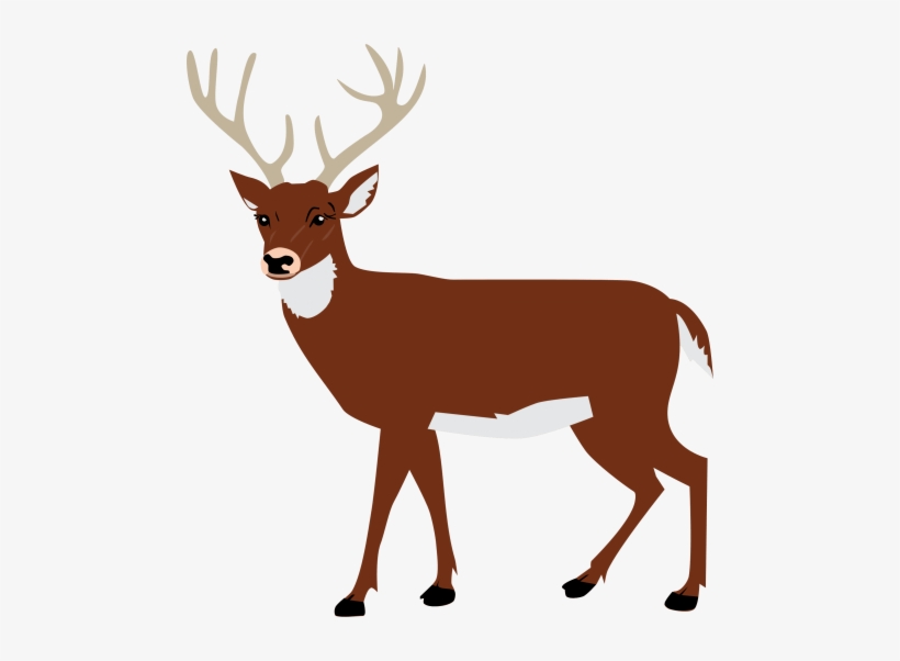 Free Png Moose Png Images Transparent - Deer Svg, transparent png #4426651