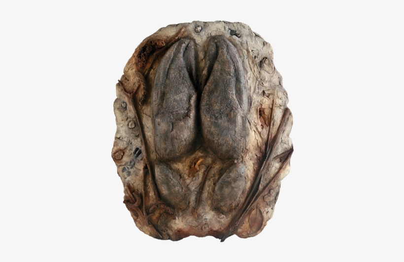 Home / Gifts & Souvenirs / Moose Track - Bronze Sculpture, transparent png #4426679