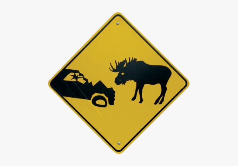 Sam Winchester Moose Meme, transparent png #4426706