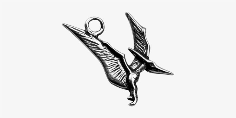 Pterodactyl - Clip Art, transparent png #4428111