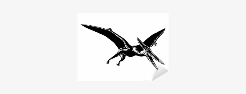 Idecalworks Pteranodon Jurassic Park Jurassic World, transparent png #4428382
