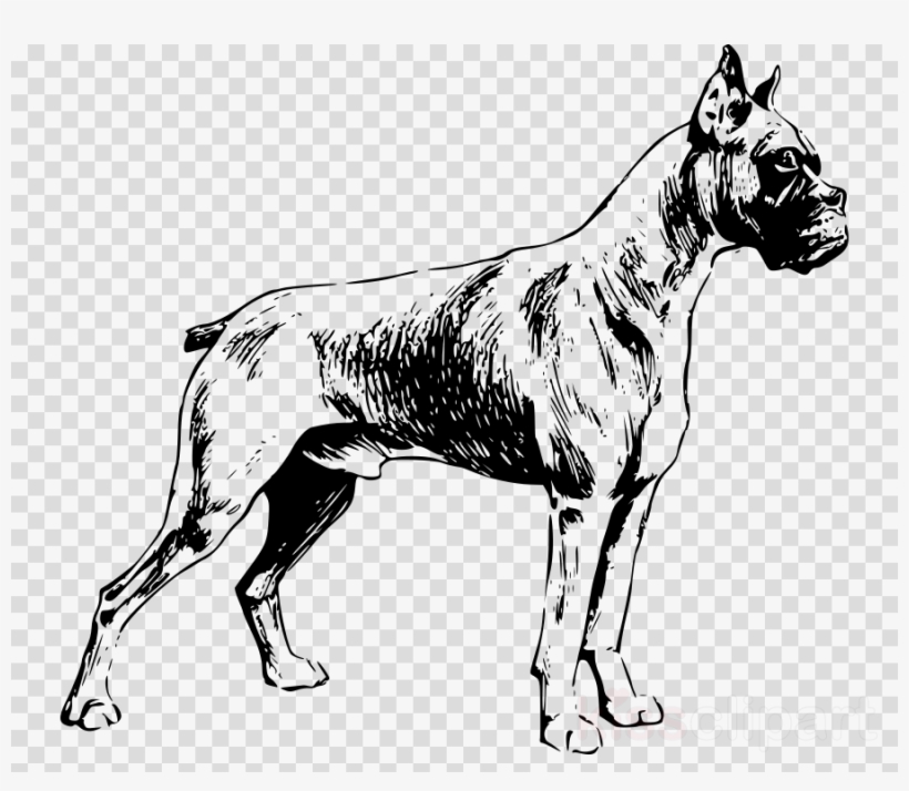 Boxer Dog Silhouette Transparent Background, transparent png #4428498