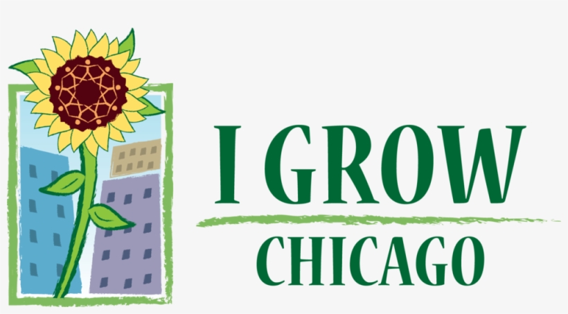 I Grow Chicago, transparent png #4429350