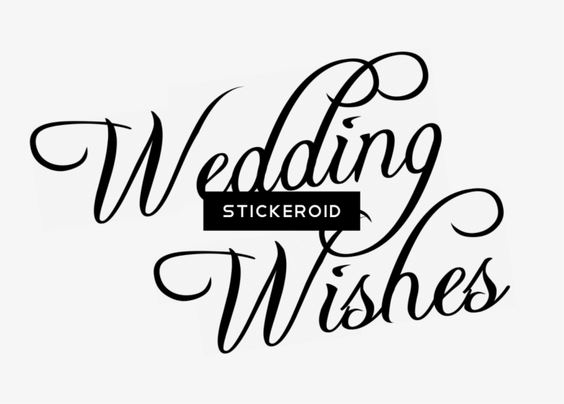 Best Wishes - Wedding Charm: A Magnolias And Moonshine Novella Book, transparent png #4432431