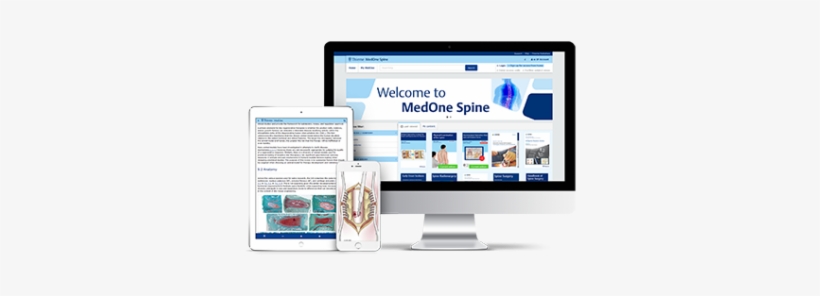 Item 4488 Medone Spine Screens Resized - Vertebral Column, transparent png #4432570