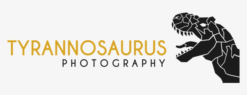 Conservative, Bold, Camera Logo Design For A Company - Graphic Design, transparent png #4432889