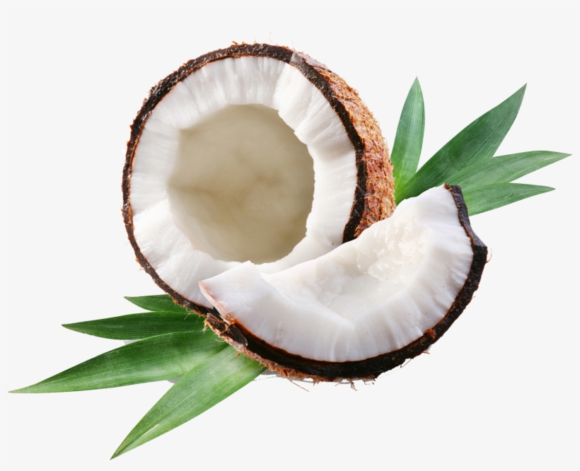 According To Our Ancient Scriptures, The Outer Part - Coconut Oil: Teach Me Everything I Need, transparent png #4433034