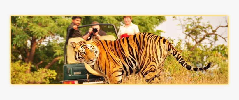 111 - Places To Visit Near Ranthambore, transparent png #4433325