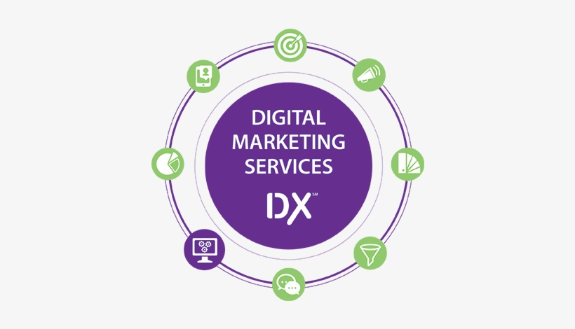 Stitchdx Website Development Services - Business, transparent png #4434901