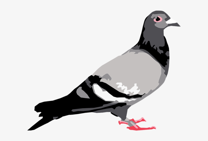 Staple Pigeon - Staple Pigeon Logo, transparent png #4435046
