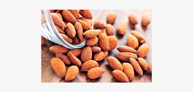 Kashmiri Almonds Kernels - Die Große Gu Nährwert-kalorien-tabelle 2014/15, transparent png #4435672