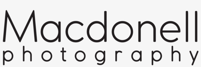Photography Vector Png, transparent png #4435944