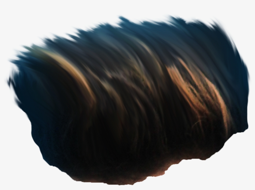 Hair Png ➤ Download - Chocolate, transparent png #4436413