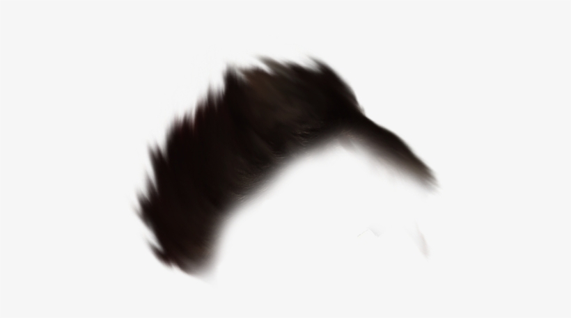 Hair Png - Echidna, transparent png #4436444
