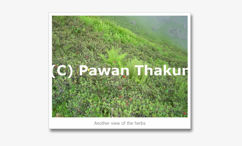 Valley Views On Shrikhand Mahadev Yatra - Shrikhand Mahadev Kailash Yatra, transparent png #4436636