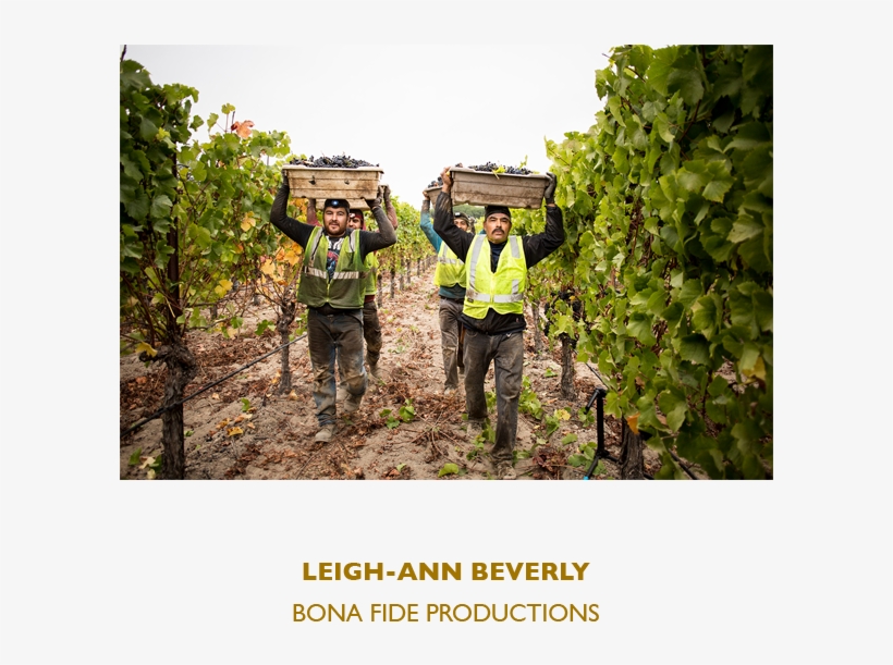 Leigh Ann Beverly - Locus Wine Consulting, transparent png #4437010