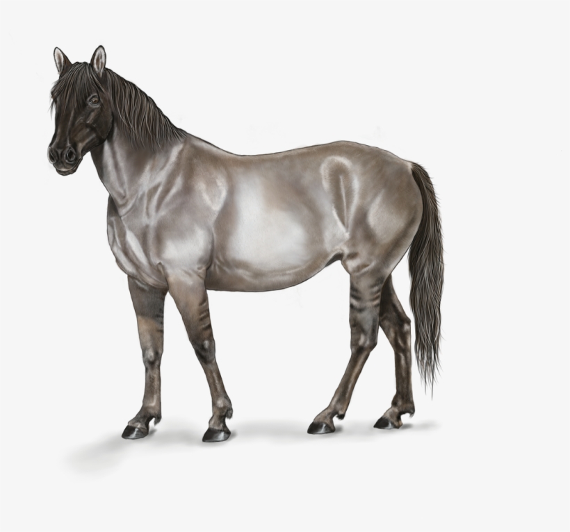 Horse Art Digital Artwork Png Image - Horse, transparent png #4440635