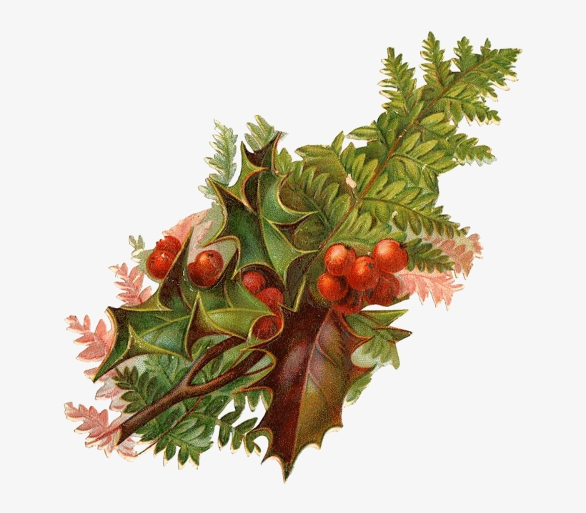 Algunos Adornos Con Muérdago Vintage Para Decorar Y - Limited Edition Festive Cranberry & Orange Triple, transparent png #4440969