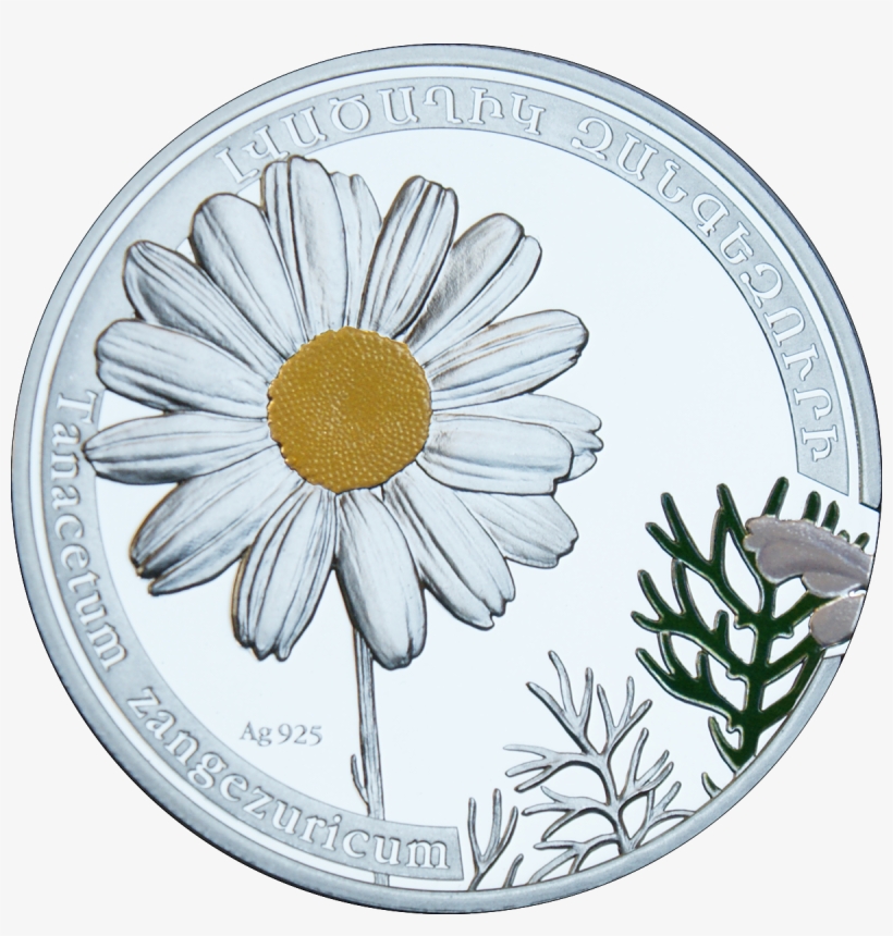 Chamomile Png 13, Buy Clip Art - Armenia 2010, transparent png #4442514