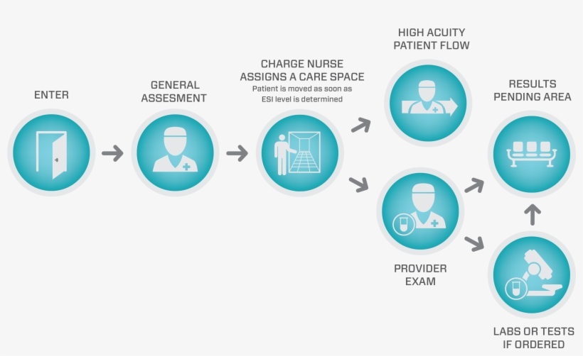 Emergency Department Flow Graphic - Emergency Department, transparent png #4443756