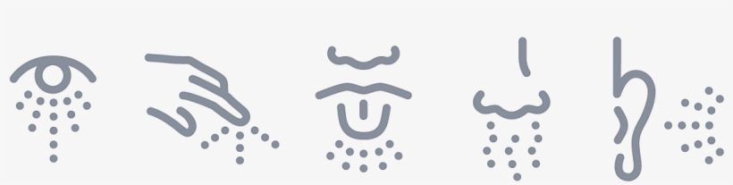 Learning A Language Through Cooking - Senses Png, transparent png #4444051