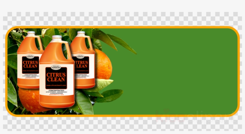 Citrus Clean Clipart Citrus Clean It Cleaning Floor - Aquarion Evol Yunoha Cosplay Costume, transparent png #4444388