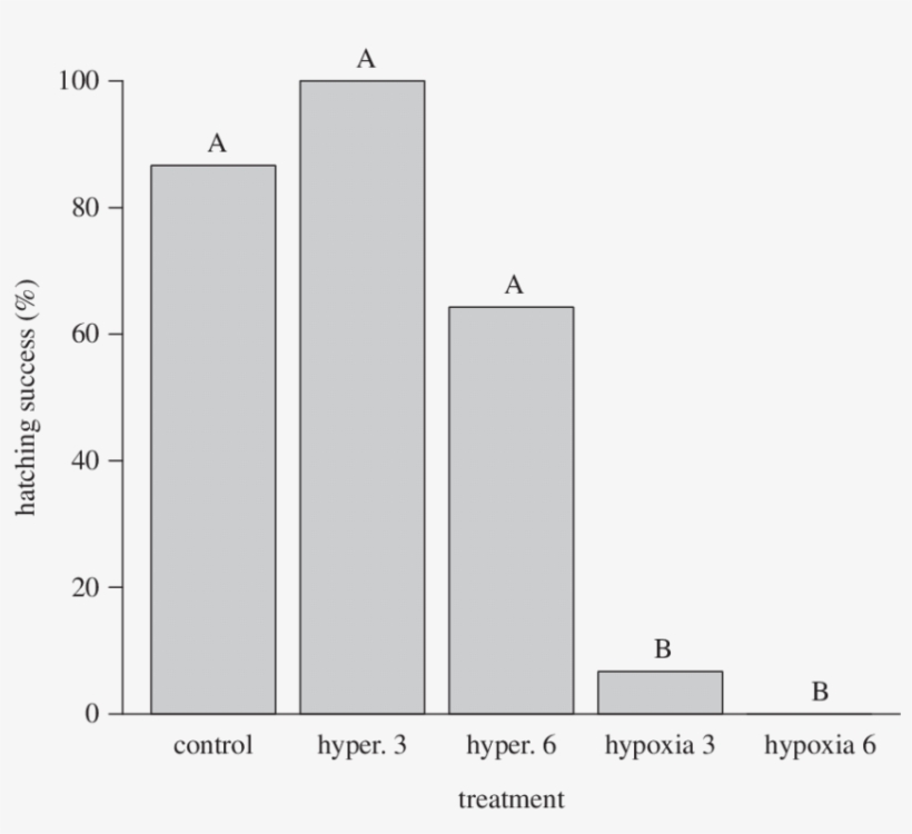 Proportion Of Saltwater Crocodile Eggs To Hatch After - Hypoxia, transparent png #4446057