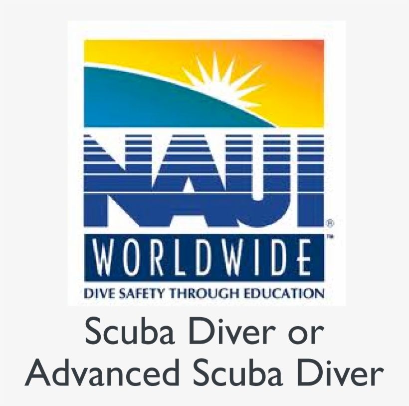 Multi-day Expedition, Visiting Sloth Island For Incredible - Naui Open Water Scuba (blue) Certification Material, transparent png #4446243