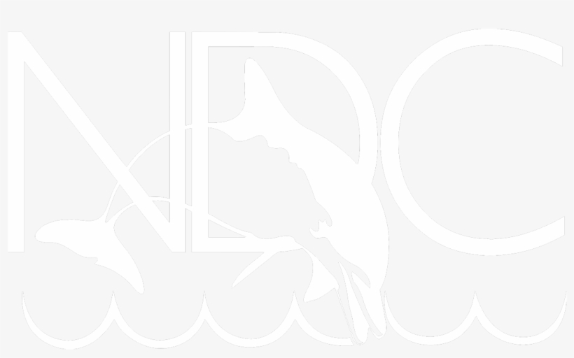 Since - National Diving Center, transparent png #4446842