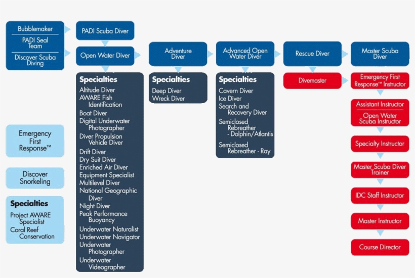 Padi Courses Scheme - Padi Courses, transparent png #4446957