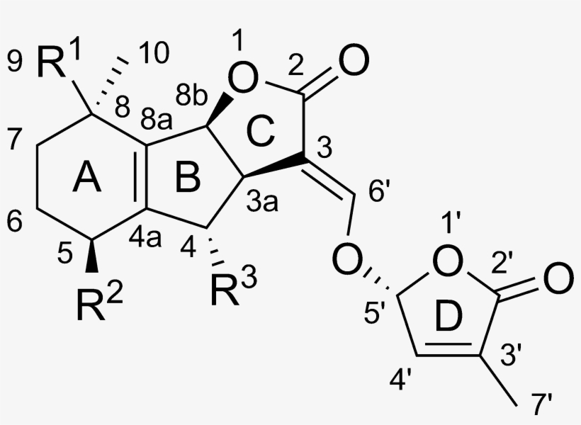 Strigolactones General Chemical Structure - Strigolactone Chemical Structure, transparent png #4449847