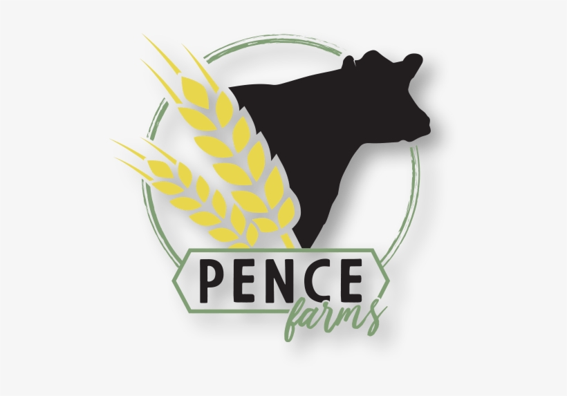 Identity Package Custom Logo Design - Illustration, transparent png #4450929