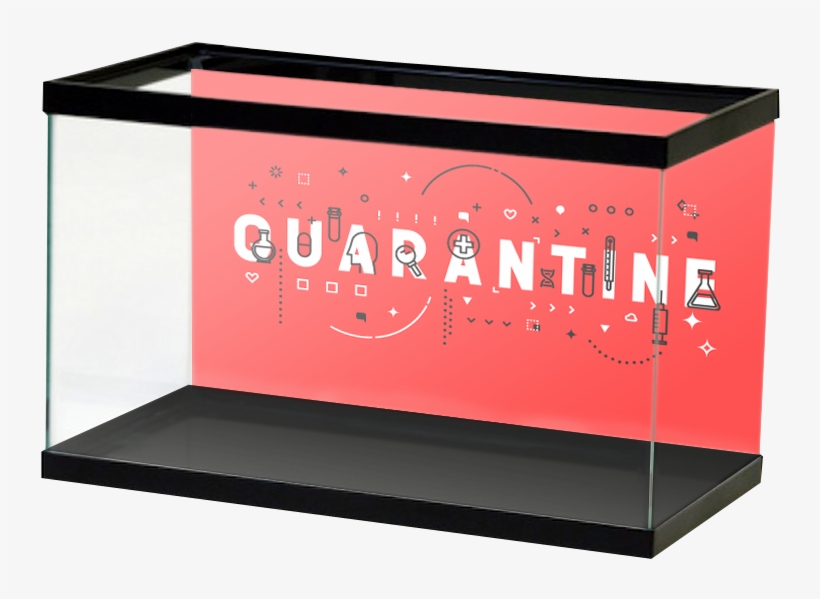 Quarantine, transparent png #4451700