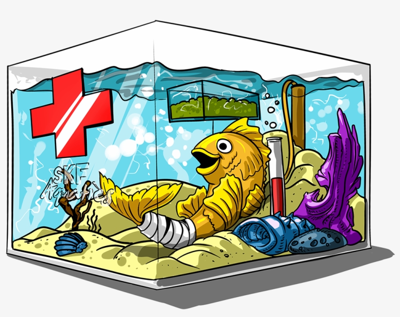 Out Fish Or Any Aquatic Animal Ownership - Fish Quarantine Cartoon, transparent png #4452122