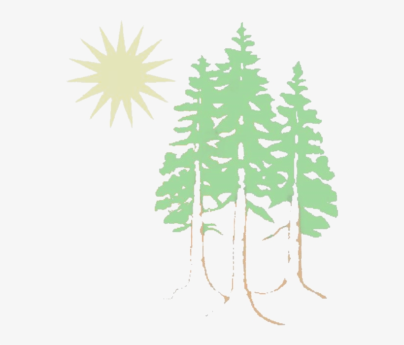 Serving The Northcoast Since 1967 - Western Yellow Pine, transparent png #4452279