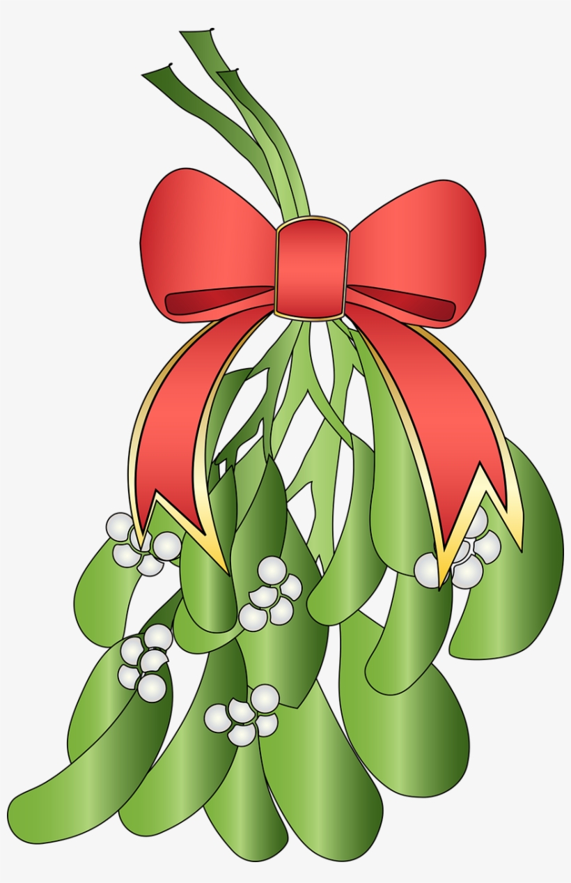 Gift, Christmas Light Bulb, Turkey, Ornament, Poinsettia, - Transparent Png Mistletoe, transparent png #4454615