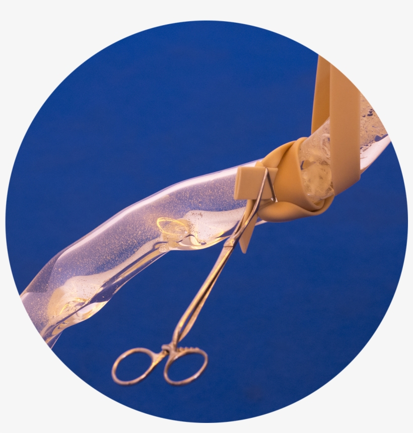 'physical Self' By Laura Gozlan At Galerie Escougnou-cetraro, - Self, transparent png #4455925