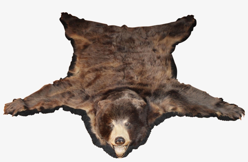 Bear Skin Rug Png - Bear Skin Png, transparent png #4456619