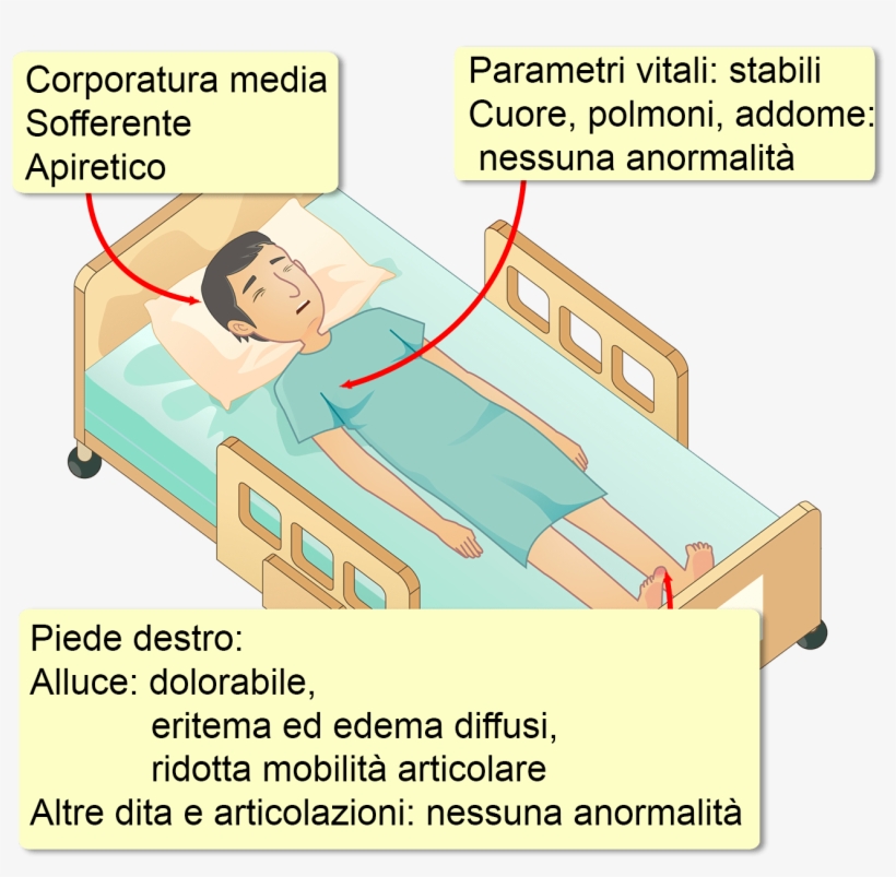 La Sua Storia Clinica Non È Rilevante E Non Assume - Cartoon, transparent png #4456686