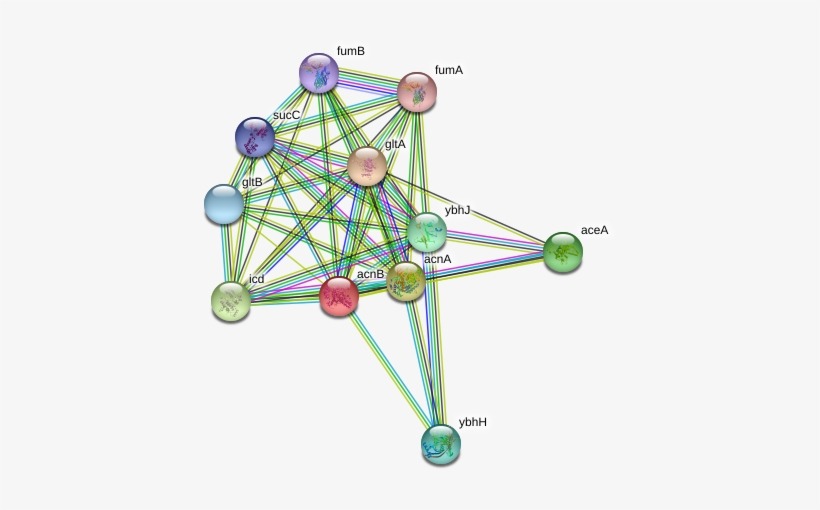 Circle, transparent png #4457020