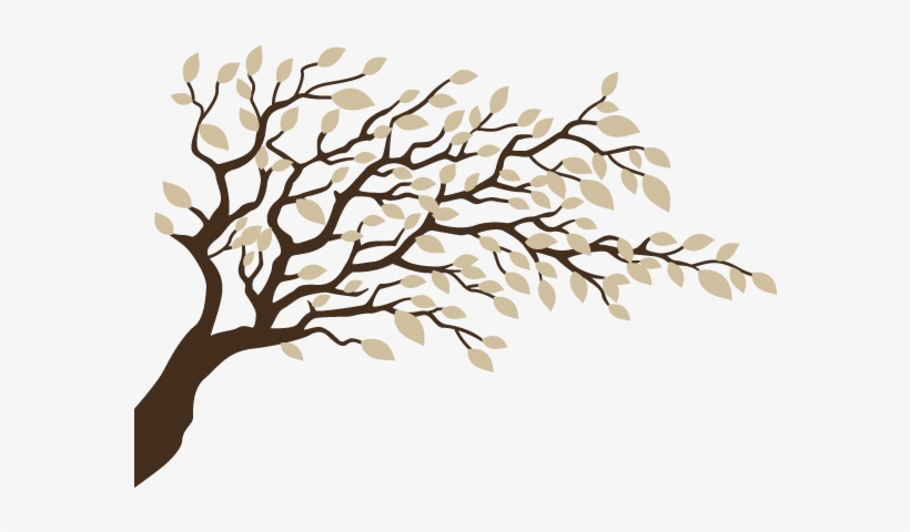 Tree, transparent png #4461132