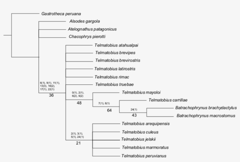 Los Números Arriba De Las Ramas Son Los Caracteres - Document, transparent png #4461143