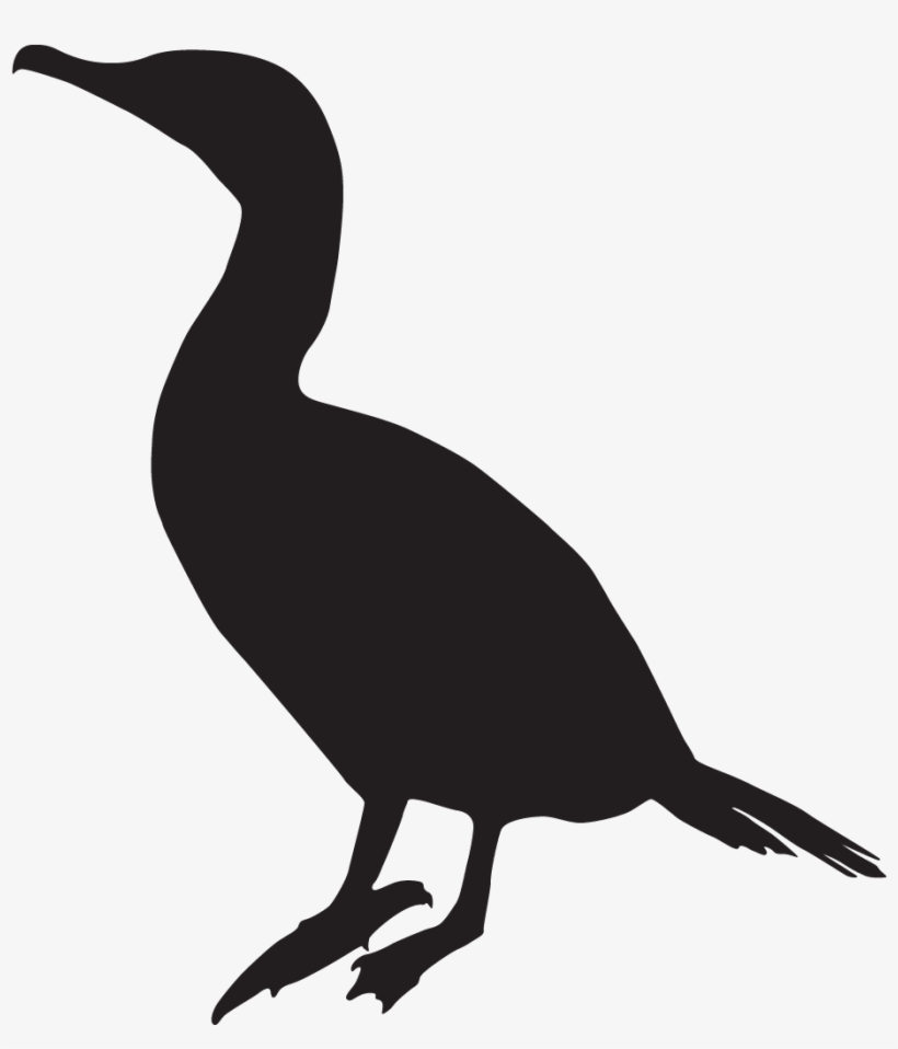 Neotropic Cormorant - Cormorant Silhouette, transparent png #4461384