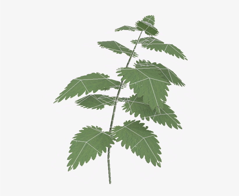 Boiler 01 Wire - Maple Leaf, transparent png #4461817