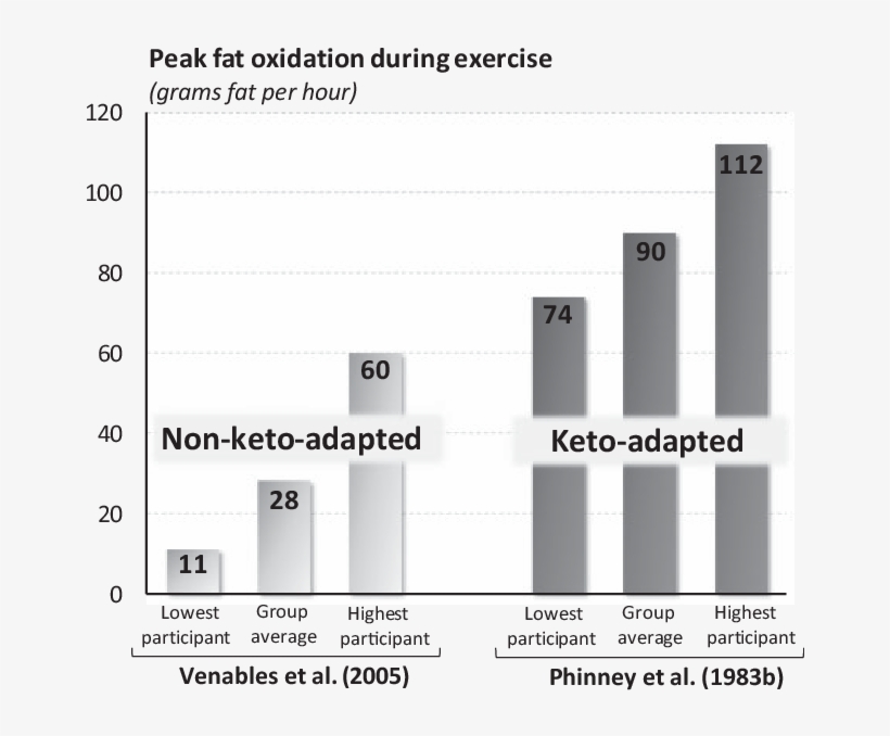 The Rate Of Fat Use During Exercise At 64% Vo 2 Max - Rethinking Fat As A Fuel For Endurance Exercise, transparent png #4462051